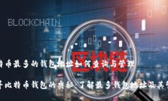 比特币最多的钱包地址如何查询与管理探寻比特