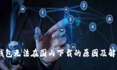 USDT官方钱包无法在国内下载的原因及解决方案详