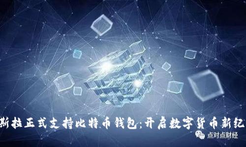 特斯拉正式支持比特币钱包：开启数字货币新纪元!