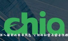 : 深入解析比特币钱包：公钥的秘密与安全性探讨