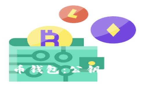 : 深入解析比特币钱包：公钥的秘密与安全性探讨