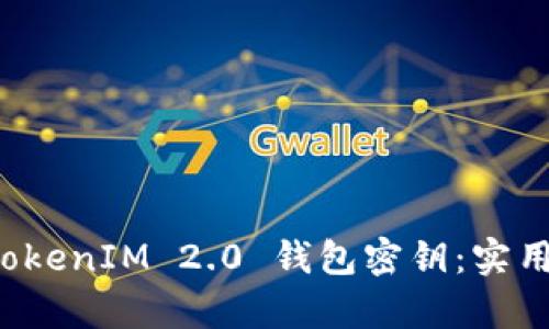 如何安全保存 TokenIM 2.0 钱包密钥：实用指南与最佳实践
