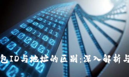 比特币钱包ID与地址的区别：深入解析与全面理解