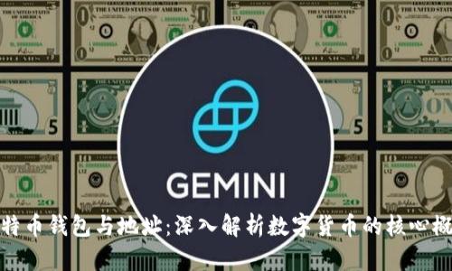 比特币钱包与地址：深入解析数字货币的核心概念