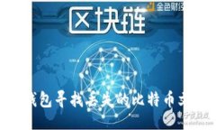 代码示例: 如何使用QT钱包寻找丢失的比特币文件