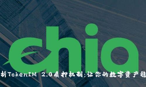 深入解析TokenIM 2.0质押机制：让你的数字资产稳健增值