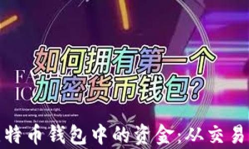 
如何有效使用比特币钱包中的资金：从交易到投资的全攻略