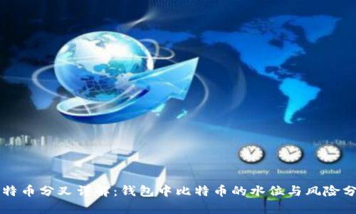 比特币分叉详解：钱包中比特币的水位与风险分析