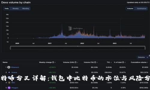 比特币分叉详解：钱包中比特币的水位与风险分析