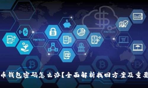 忘记比特币钱包密码怎么办？全面解析找回方案及重要注意事项