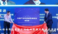 比特币钱包资金不到账的原因及解决方案详解
