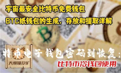 从忘记比特币电子钱包密码到恢复：全面指南