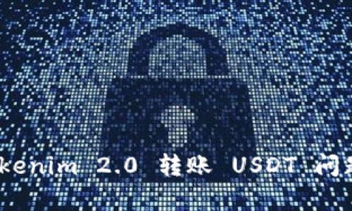 深度解析：Tokenim 2.0 转账 USDT 问题及解决方案