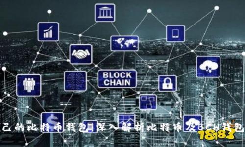 如何选择适合自己的比特币钱包：深入解析比特币及BCH钱包的类型与安全性
