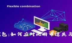 探索Mycelium钱包：如何应对比特币遗失与资金安全