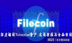 深度解析Tokenim资产：高清截图与全面分析