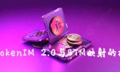 全面解析TokenIM 2.0与BTM映射的机制与应用