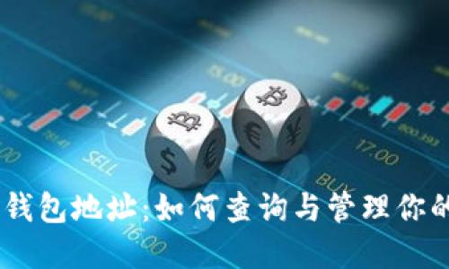 xt token钱包地址：如何查询与管理你的数字资产