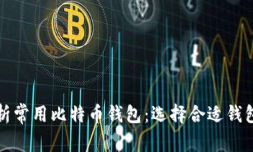全面解析常用比特币钱包：选择合适钱包的指南