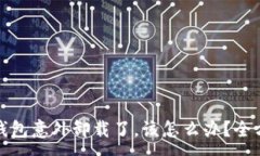 :如果狗狗币钱包意外卸载了，该怎么办？全方位