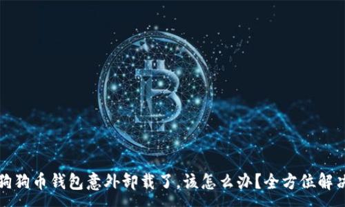 :
如果狗狗币钱包意外卸载了，该怎么办？全方位解决方案