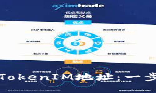 如何查看TokenIM地址：一步一步指南