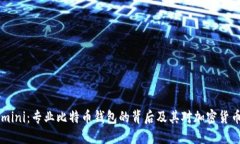 揭秘Gemini：专业比特币钱包的背后及其对加密货