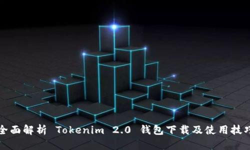 全面解析 Tokenim 2.0 钱包下载及使用技巧