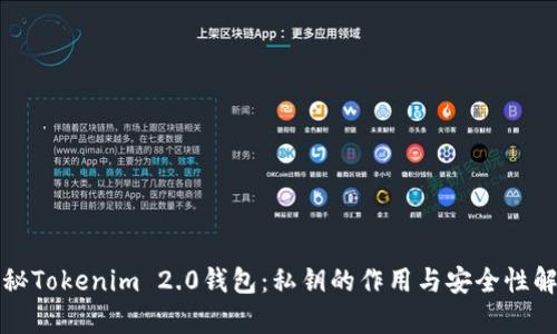 揭秘Tokenim 2.0钱包：私钥的作用与安全性解析