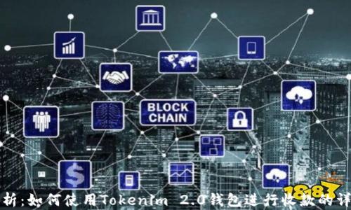 
全面解析：如何使用Tokenim 2.0钱包进行收款的详细指南