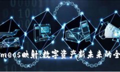 Tokenimeos映射：数字资产新未来的全景解析