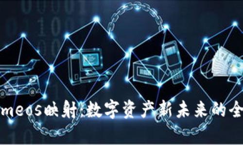 Tokenimeos映射：数字资产新未来的全景解析