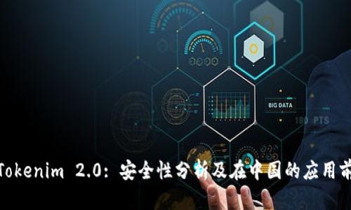 : Tokenim 2.0: 安全性分析及在中国的应用前景