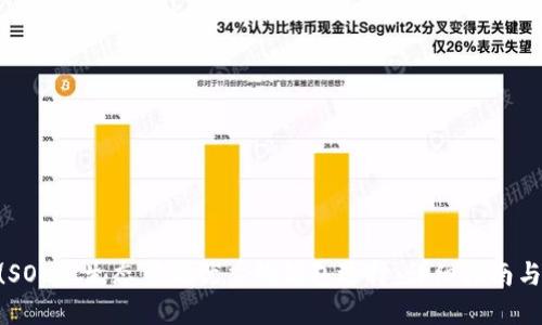 Solana (SOL) 生态中最优秀的钱包选择：详细指南与使用技巧
