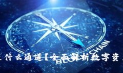 : TokenimusDT走什么通道？全面解析数字资产交易的