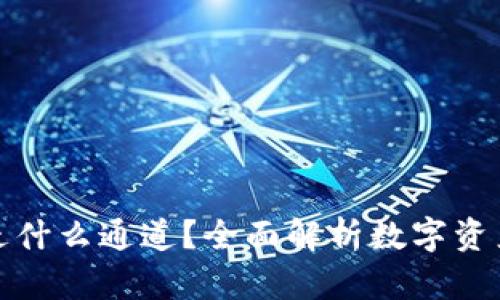: TokenimusDT走什么通道？全面解析数字资产交易的前沿路径
