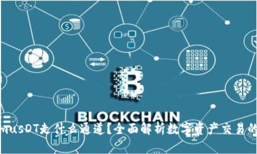 : TokenimusDT走什么通道？全面解析数字资产交易的前沿路径