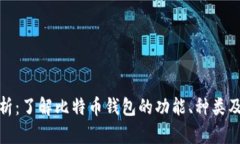 全面分析：了解比特币钱包的功能、种类及安全