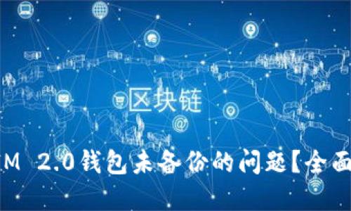 如何解决TokenIM 2.0钱包未备份的问题？全面指南与解决方案