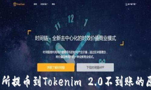 
全面解析：交易所提币到Tokenim 2.0不到账的原因与解决方案