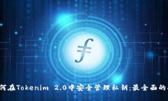  如何在Tokenim 2.0中安全管理私钥：最全面的指南