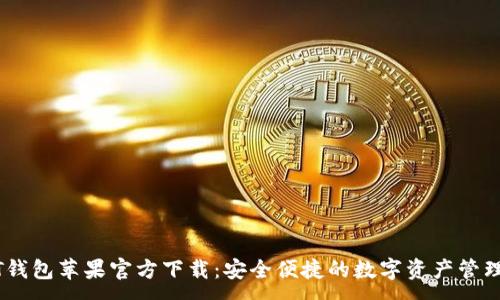 :
USDT钱包苹果官方下载：安全便捷的数字资产管理工具