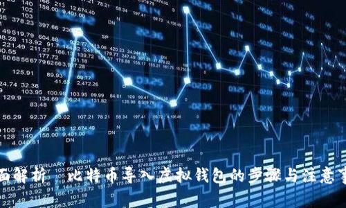 全面解析犇比特币导入虚拟钱包的步骤与注意事项