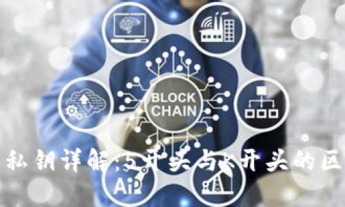 比特币钱包私钥详解：5开头与K开头的区别及其影响