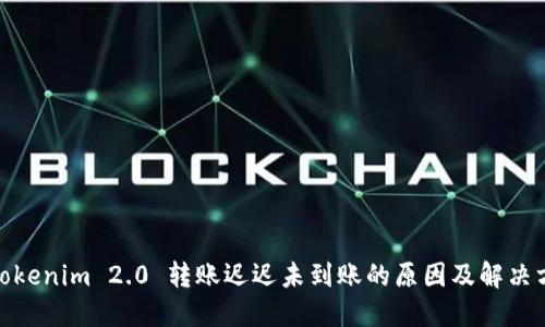 : Tokenim 2.0 转账迟迟未到账的原因及解决方案