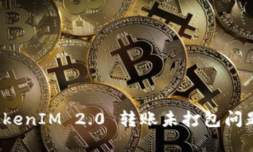 全面解析 TokenIM 2.0 转账未打包问题及解决方案