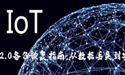 彻底了解Tokenim 2.0备份恢复指南：从数据丢失到安全存储全方位解析