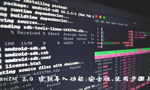 深入解读 TokenIM 2.0 密钥导入功能：安全性、使用步骤与常见问题解析