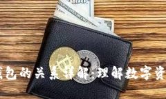 TRC-20与TRX钱包的关系详解：理解数字资产的背景