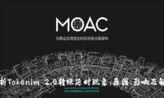 深入解析Tokenim 2.0转账延时现象：原因、影响及解